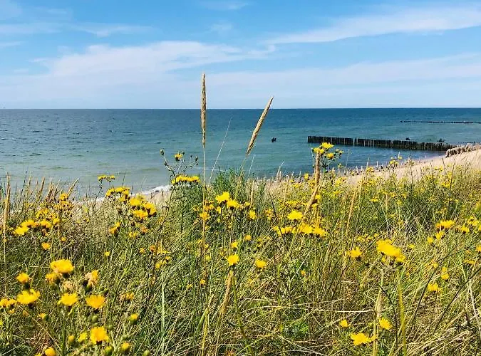 Nadmorska Magia Bobolin